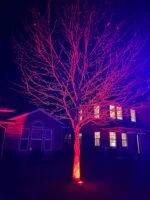 12v xConnect 20w Floodlight - Image 4