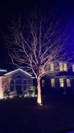 12v xConnect 20w Floodlight - Image 5