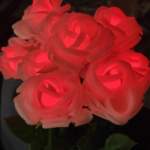 YPS Blossom Flowers (10 per set, 12v Xconnect)