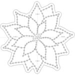 Poinsettia 1