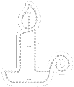 Candles - Image 3