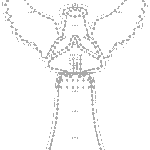 Angels